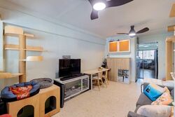 Blk 808 Tampines Polyview (Tampines), HDB 3 Rooms #595602401